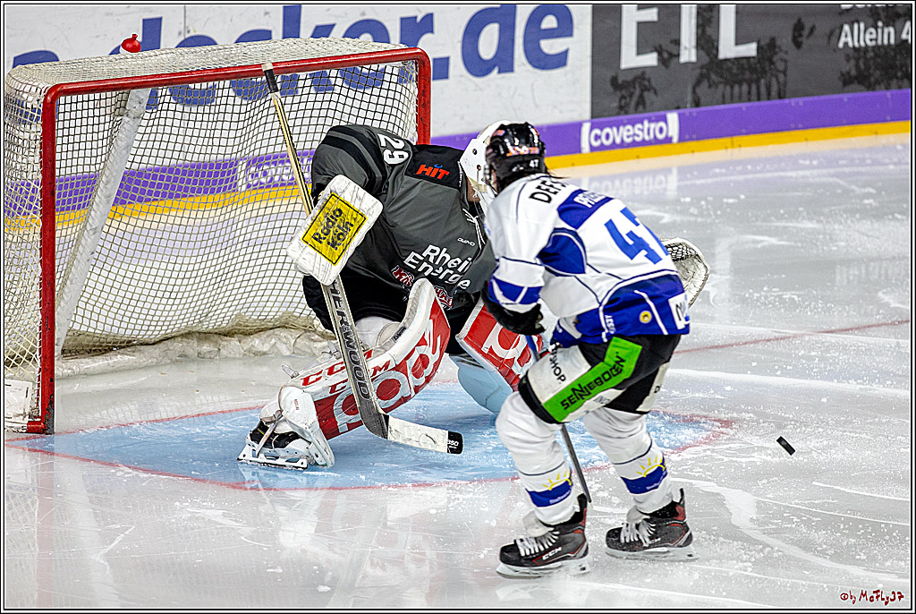 DEL; Koelner Haie - Straubing Tigers, 02.12.2018
